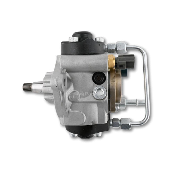 DiigParr Fuel Injection Pump 131011150 Fit for Perkins Engine ER84494N NL844T4E ER84495N