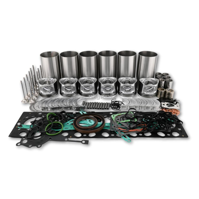 DiigParr Overhaul Rebuild Kit for Deutz TCD2012 L06 2V Engine