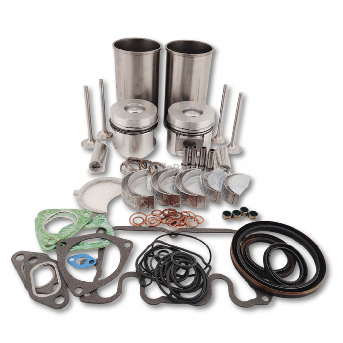 DiigParr Overhaul Rebuild Kit for Deutz Engine F2L1011F