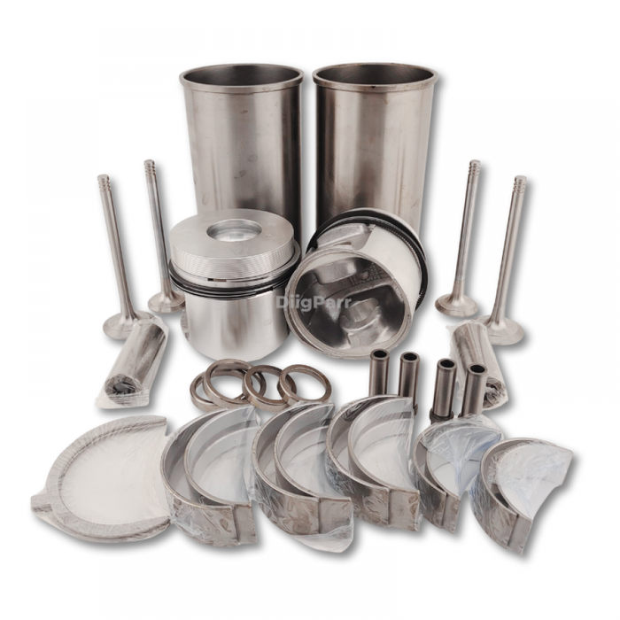 DiigParr Overhaul Rebuild Kit for Deutz Engine F2L1011F