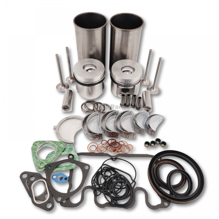 DiigParr Overhaul Rebuild Kit for Deutz Engine F2L1011F