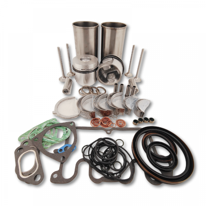 DiigParr Overhaul Rebuild Kit for Deutz Engine F2L1011F