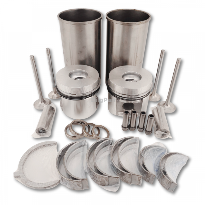 DiigParr Overhaul Rebuild Kit for Deutz Engine F2L1011F