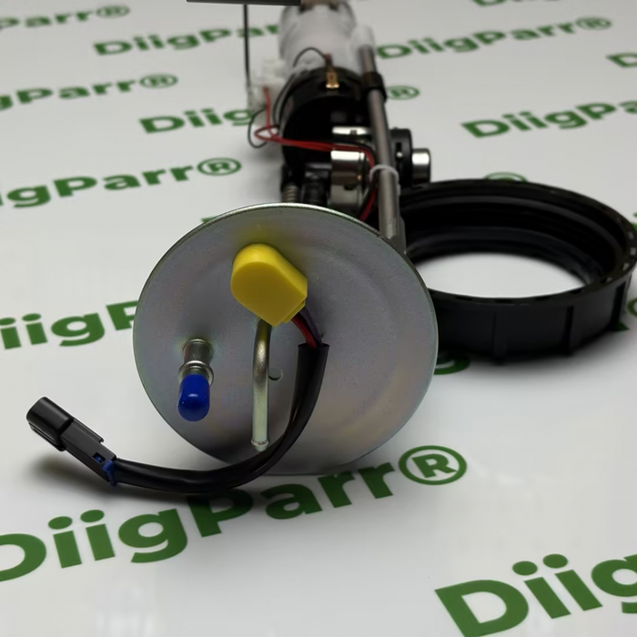 DiigParr Fuel Pump Assembly 2204306 Fits for Polaris 08-09 Ranger 700 2010 Ranger 800 09-13 Ranger 500