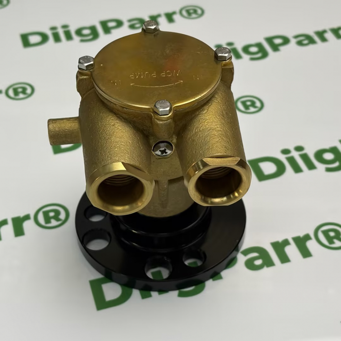 DiigParr 2 PCS Water Pump for Volvo Penta 3860703 Johnson 10-24946-01 Jabsco 50410-1201, 685001