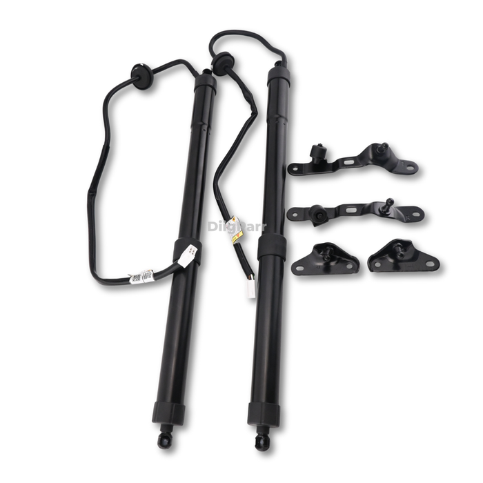 DiigParr 1 Pair Power Liftgate Actuator Assembly 68920-09080 68910-09110 for Toyota RAV4 2013-2018