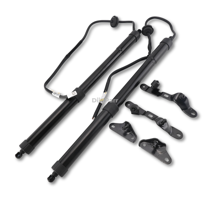 DiigParr 1 Pair Power Liftgate Actuator Assembly 68920-09080 68910-09110 for Toyota RAV4 2013-2018