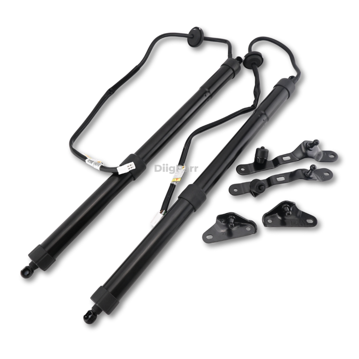 DiigParr 1 Pair Power Liftgate Actuator Assembly 68920-09080 68910-09110 for Toyota RAV4 2013-2018