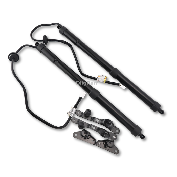 DiigParr 1 Pair Power Liftgate Actuator Assembly 68920-09080 68910-09110 for Toyota RAV4 2013-2018