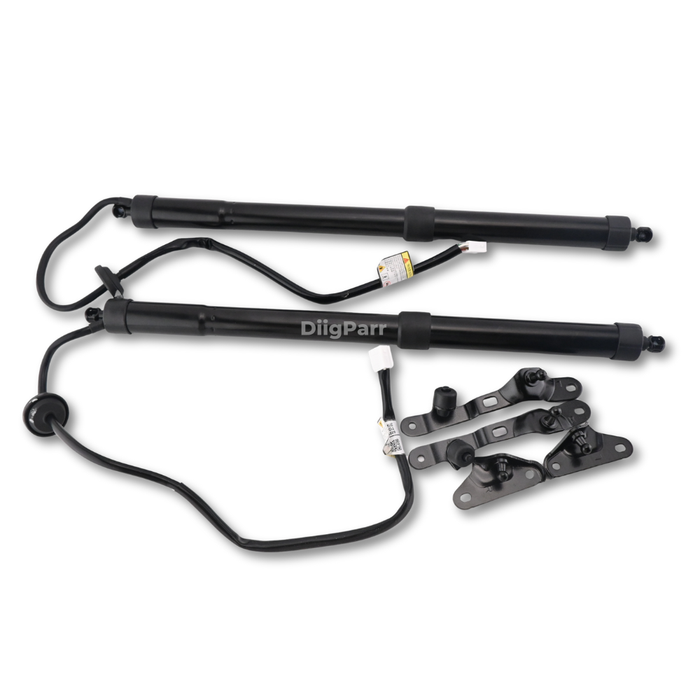 DiigParr 1 Pair Power Liftgate Actuator Assembly 68920-09080 68910-09110 for Toyota RAV4 2013-2018