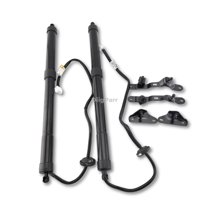 DiigParr 1 Pair Power Liftgate Actuator Assembly 68920-09080 68910-09110 for Toyota RAV4 2013-2018