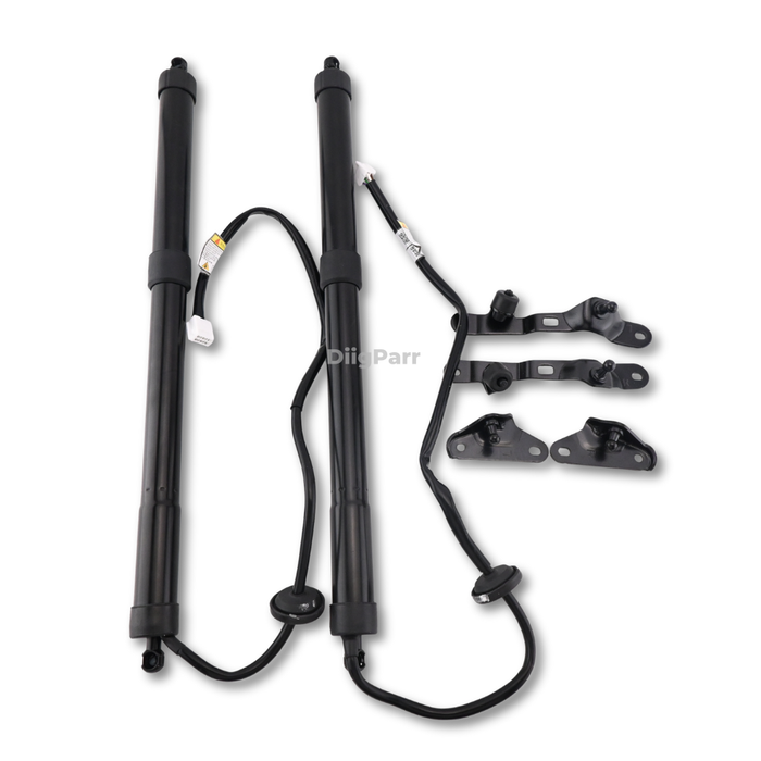 DiigParr 1 Pair Power Liftgate Actuator Assembly 68920-09080 68910-09110 for Toyota RAV4 2013-2018