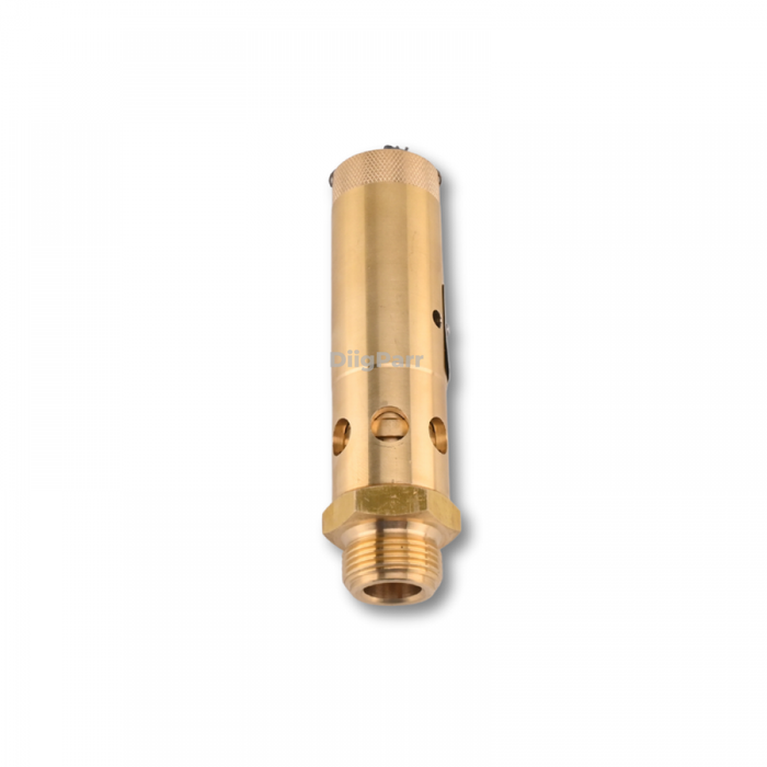 DiigParr Safety Valve 0830100832 for Atlas Copco Air Compressor
