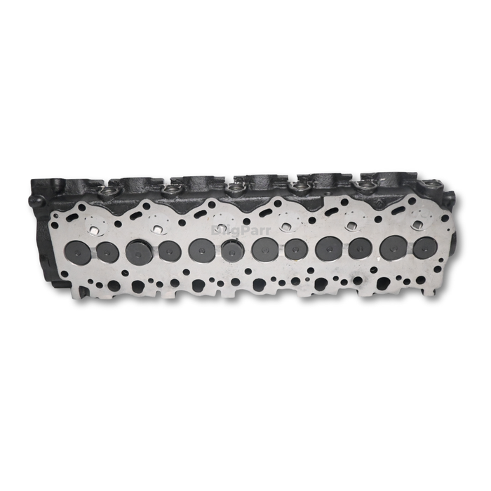 DiigParr Cylinder Head for Toyota Engine 1HZ